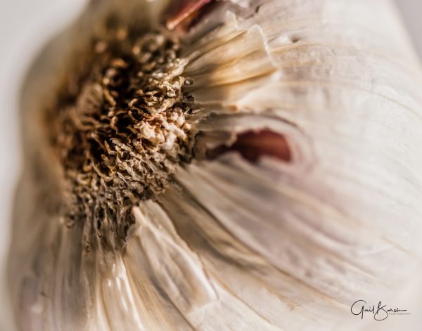 Garlicky