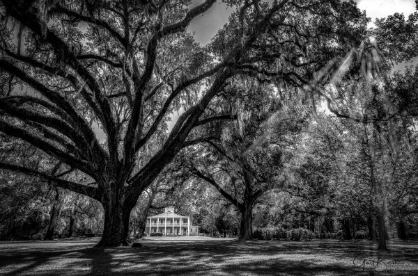 Grand Manor