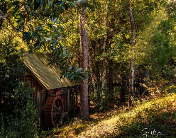 Country Living