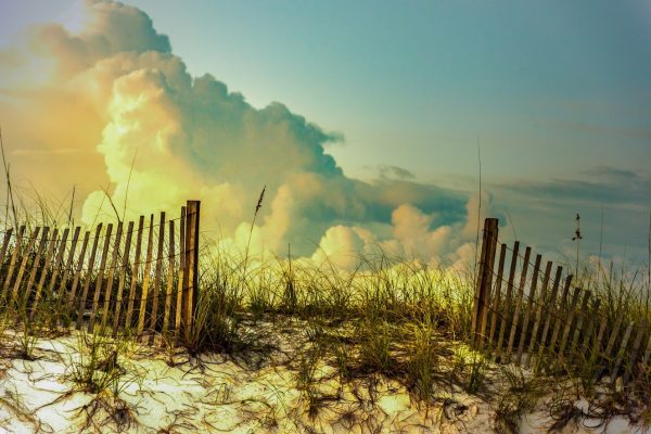 After the Storm