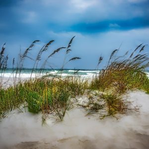 Sea Oats