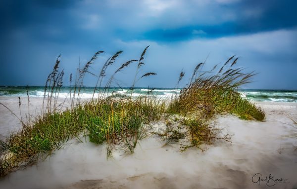 Sea Oats