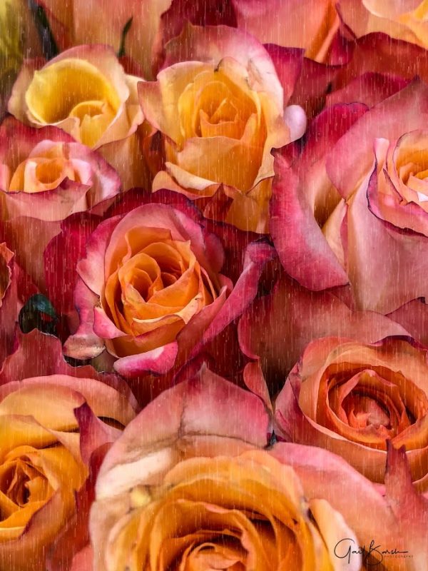 Rose Bunch