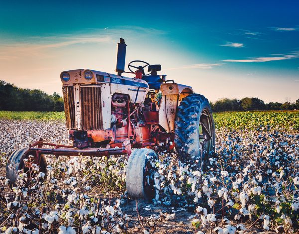 Country Livin'