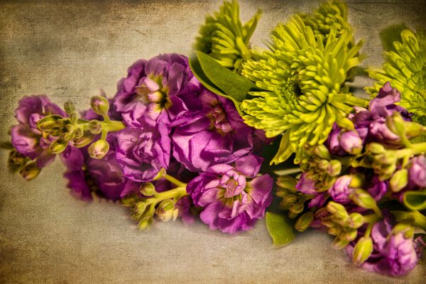 Floral Still Life