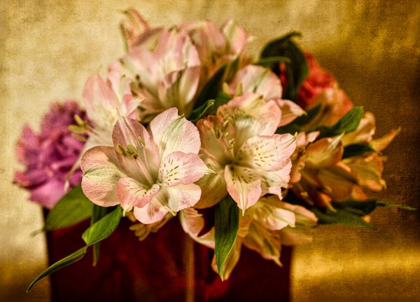 Muted Posies