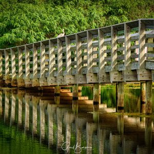 Toll Bridge