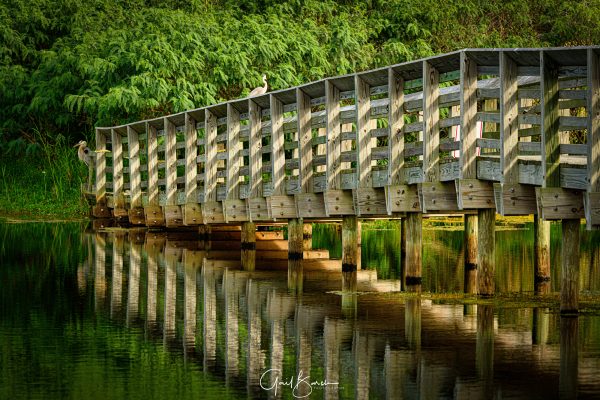 Toll Bridge