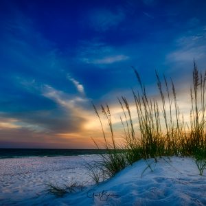 Sunset Oats