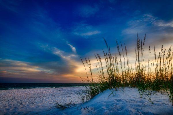 Sunset Oats
