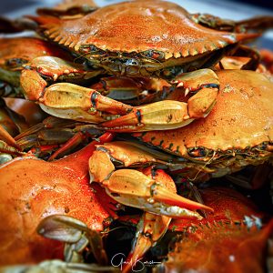 Steamed Blue Crabs