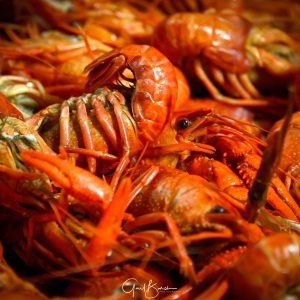 Steamed Crawfish