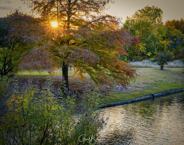 Sunburst at Dusk