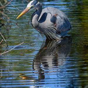 Heron Reflection