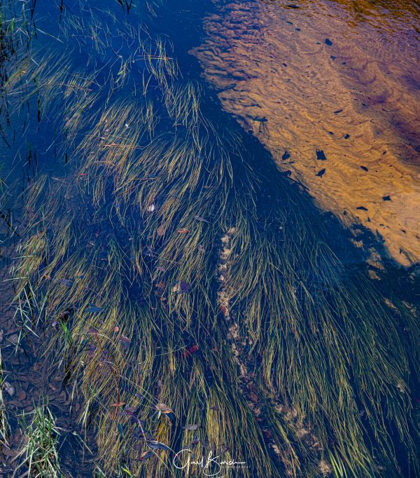 Flowing Grasses
