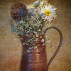 Copper and Daisies