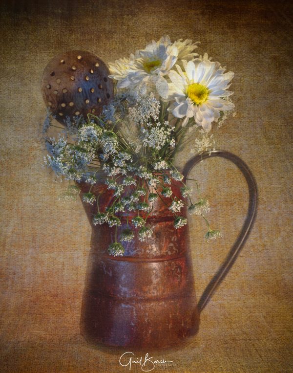 Copper and Daisies