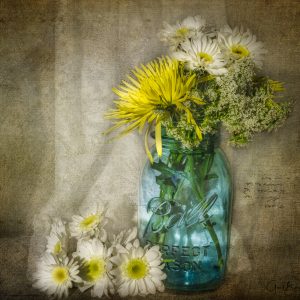 Lace and Daisies