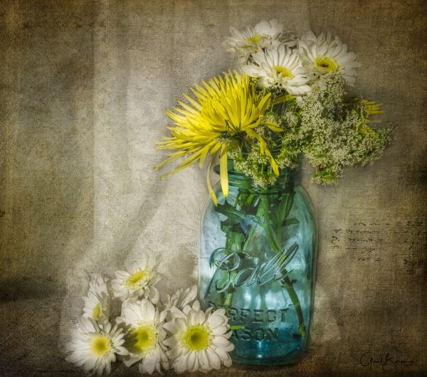Lace and Daisies