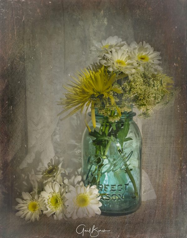 Daisies and Lace